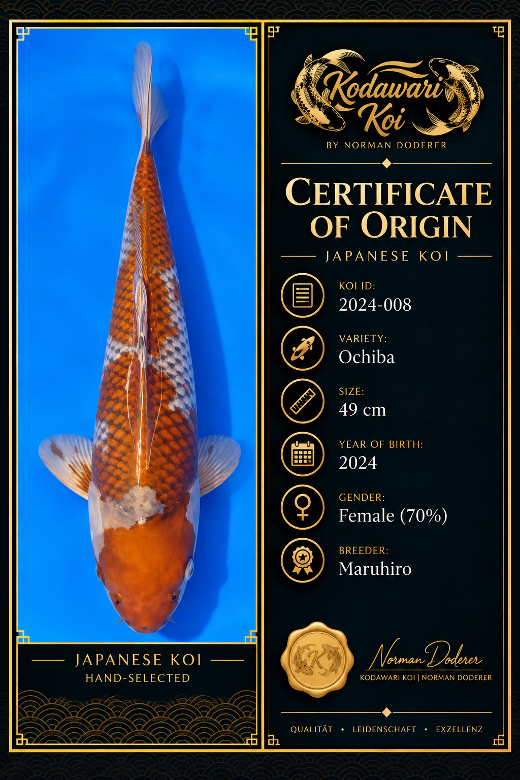Ochiba Shigure – Maruhiro (38 cm)