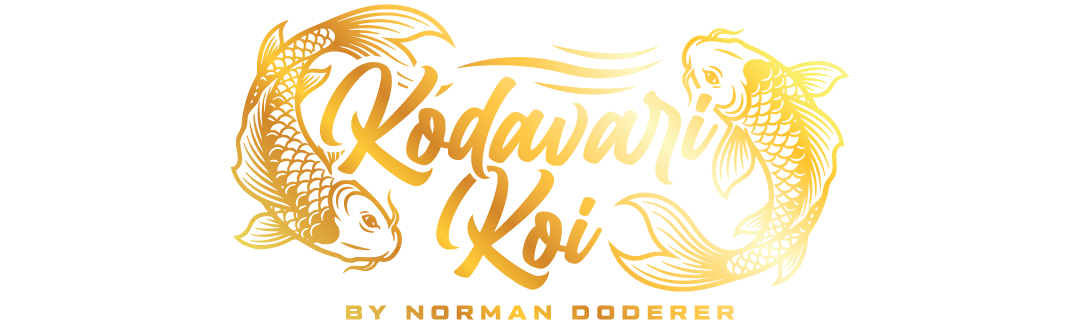 Kodawari Koi Logo - zwei Kois neben dem Wort Kodawari Koi