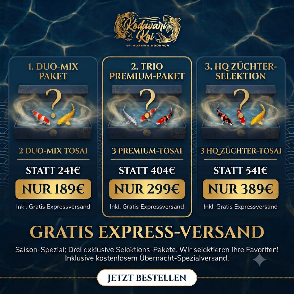 Kodawari Mystery Editionen 