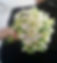 Wedding 6