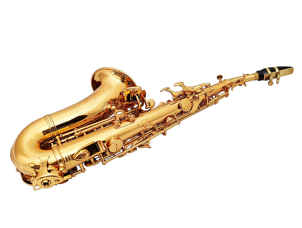 縮圖：Vigor - Entrance EC700GL Curved Soprano Sax