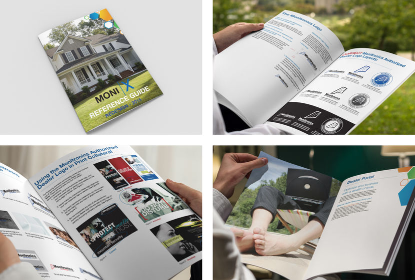 Moni, Brand Guide Development