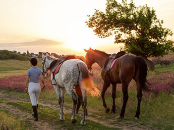 mulher passeando com cavalos