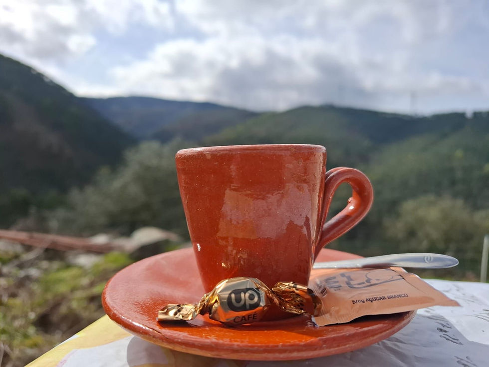 495371796_1246259370842741_8039610571826773190_n