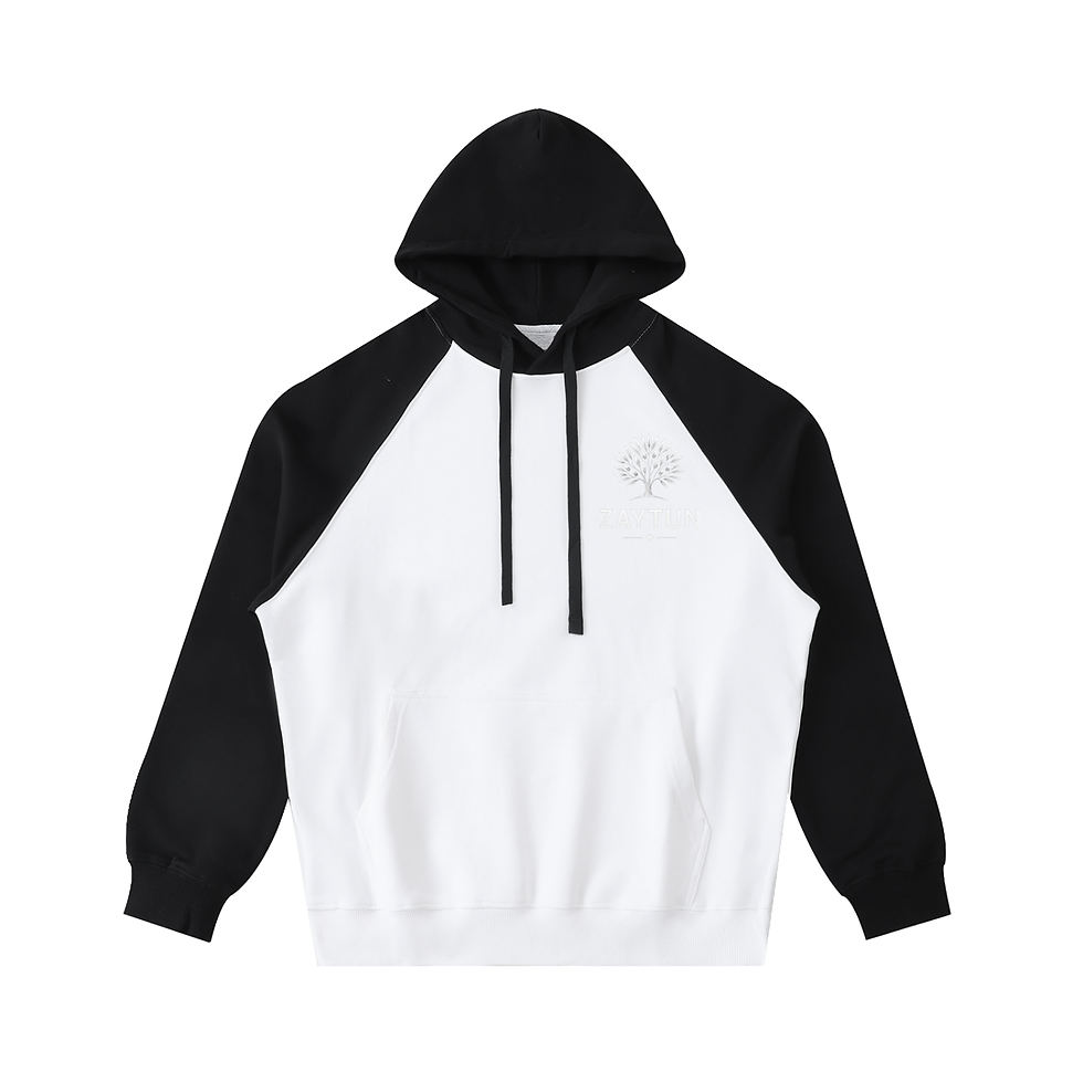 Thumbnail: Zaytun Palestine Hoodie V2