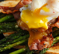 Benedict Poached Egg