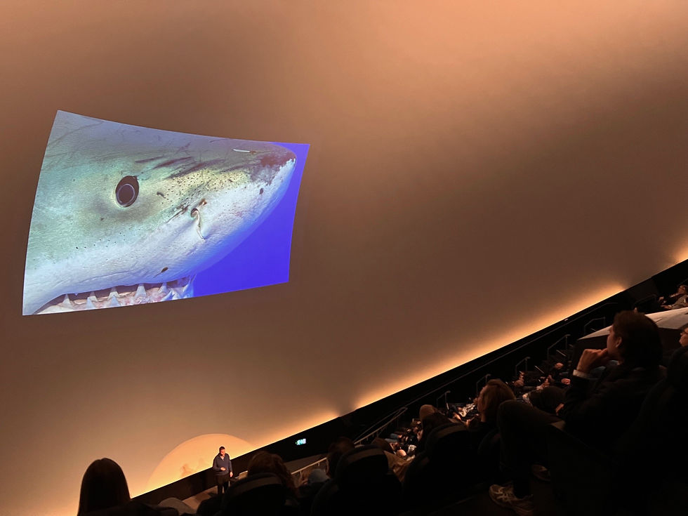 David C. Bernvi presenterar på Cosmonova: Bild: Louise Tenn.