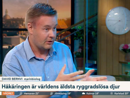 Håkäringens barnkammare TV4 Nyhetsmorgon