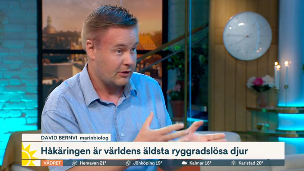 David Bernvi pratar om håkäringen. Håkäringen är världens mest långlivade ryggradsdjur och kan uppnå en ålder på minst 500 år.