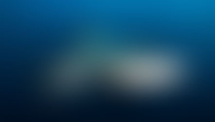 Fyra hajangrepp i Australien på 48 timmar