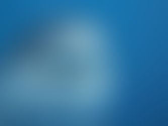 Hajkväll på Naturhistoriska riksmuseet