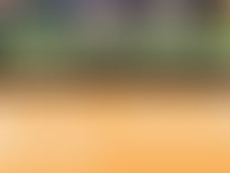 安全的項目設計