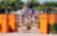 fullsizeoutput_39a9
