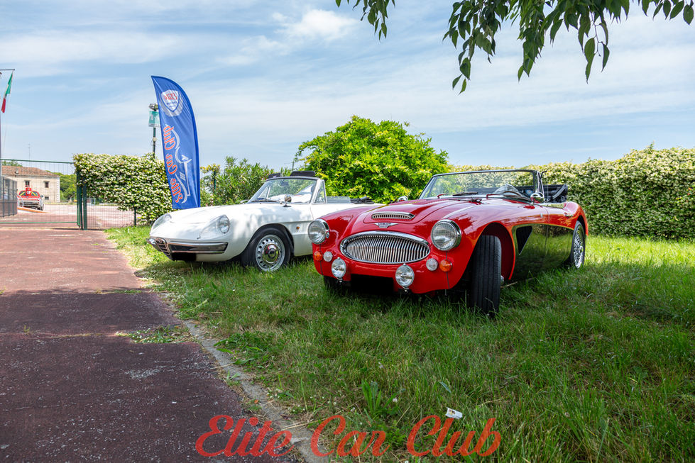 Austin Healey & Alfa Romeo