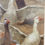 Miniature : Théophile Louis Deyrolle (1844-1923) - Breton