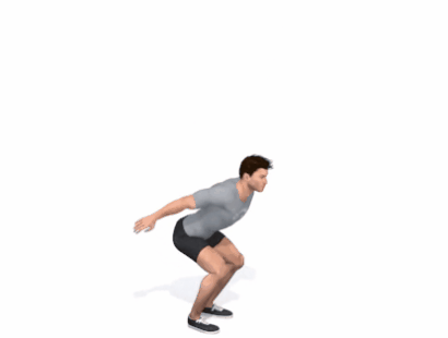 Juimp Squats.gif