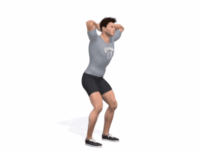 Prisoner Squat.gif