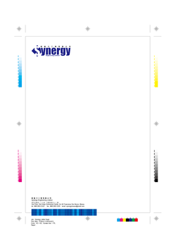 synergy_Page_06