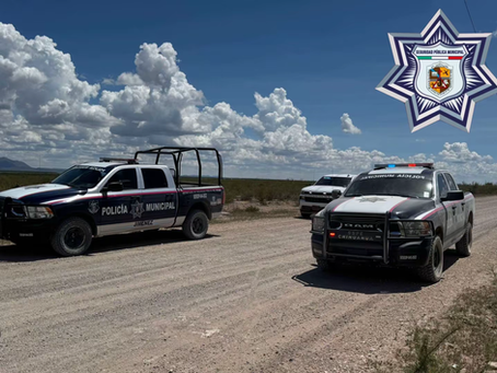 Seguridad Pública y Policía Ministerial aseguran arma de fuego en operativo rural