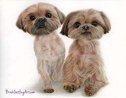 Finley & Piper - 11x14