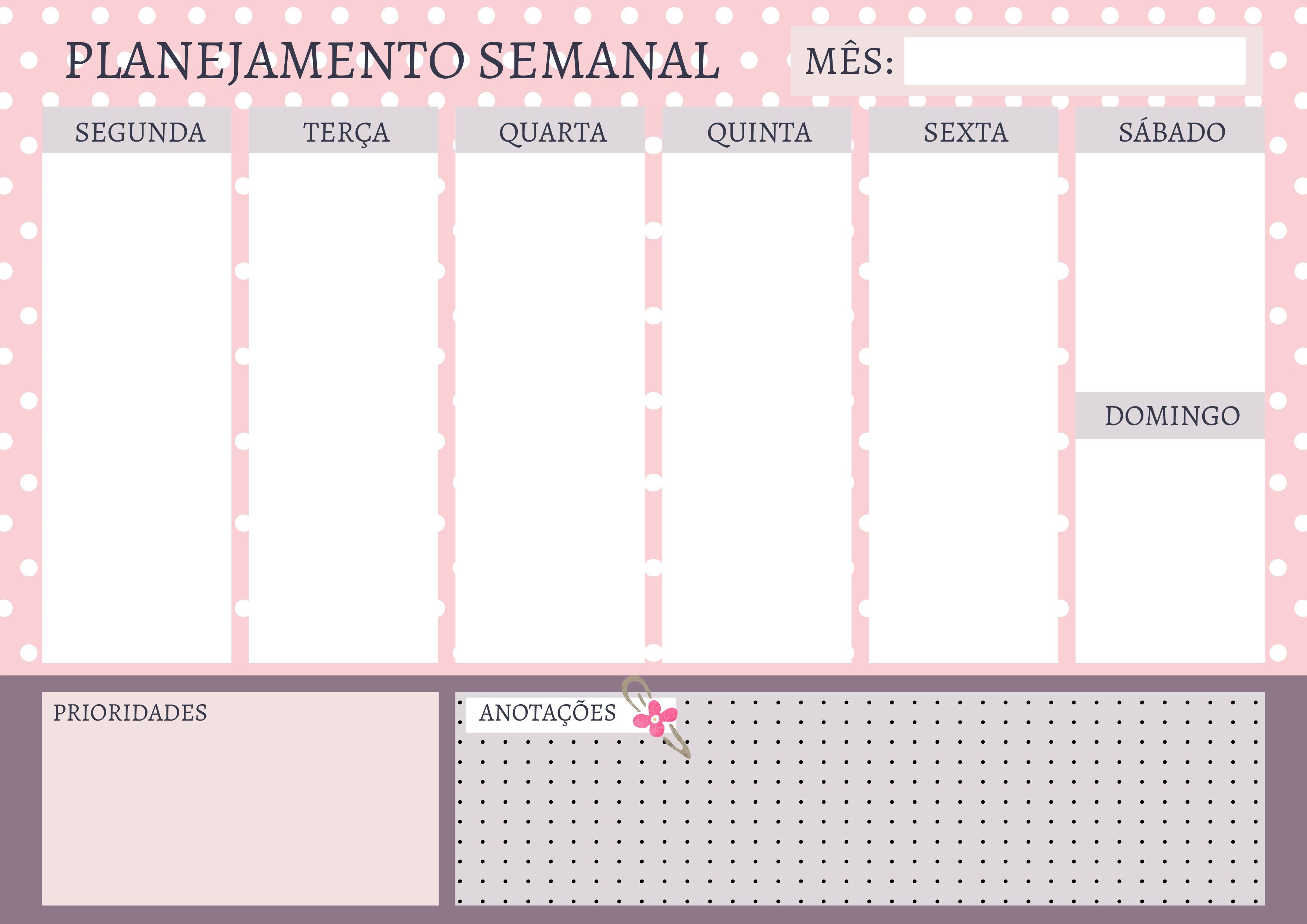Miolo Planner Rosa Dots A4