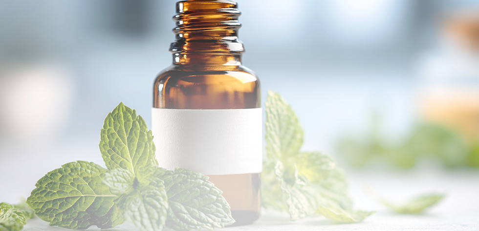 Óleo Essencial de Hortelã-Pimenta: benefícios, para que serve e como usar com segurança