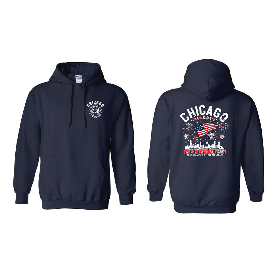 Thumbnail: NAVY - CHI Terry Hoodie