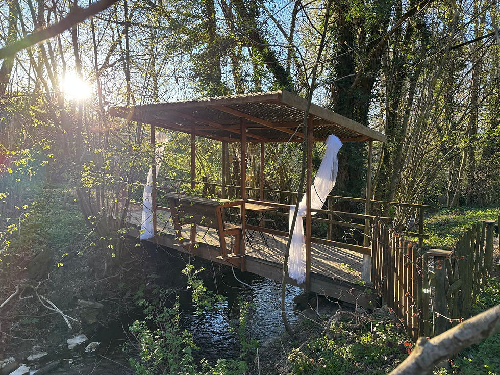 WhatsApp Image 2026-04-09 at 08.56.35