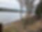 IMG_0073.jpeg