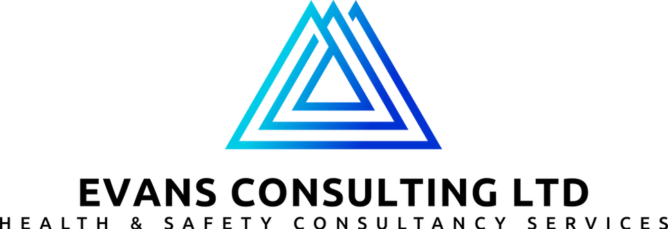 EVANS CONSULTING LTD_basic-file (1).png
