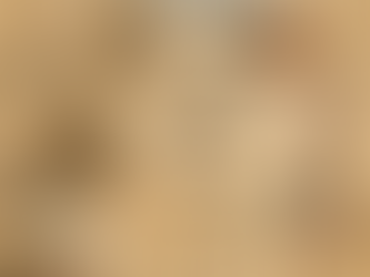 L’Anpuku Zukai possibile matrice delle sequenze manuali moderne?