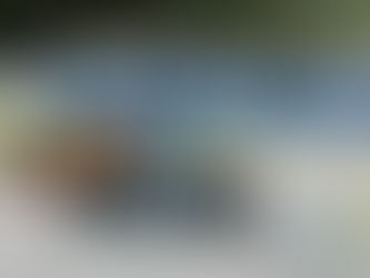 Jensen Drivers Bonilla and Haffar Ready for Road Atlanta