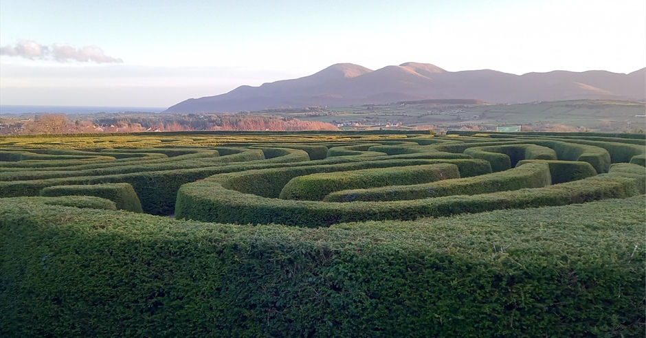 peace maze.jpg