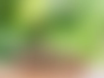 Why Smart Content Gets Lost in the Algorithm Driven Attention Economy