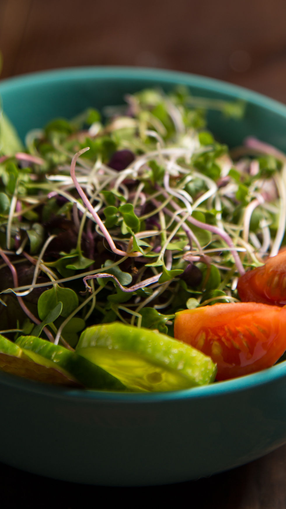microgreen salad