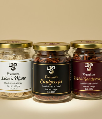 Gemini_Generated_Image_3tzlx33tzlx33tzl_