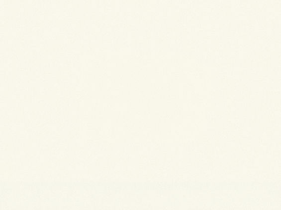 BY BROOKS - Background.jpg