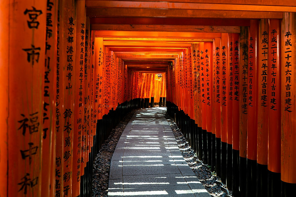 Orange torii gate tunnel with black Japanese writing lines a sunlit stone path in a serene shrine corridor.
