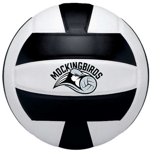 volleyballBlackandWhiteLogo.png