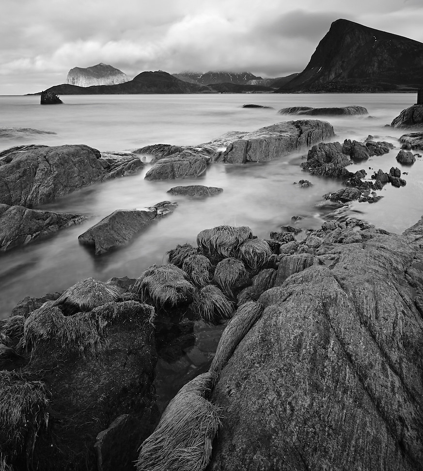 Winner Red Dot Print - Gordon