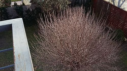 20160226_153726
