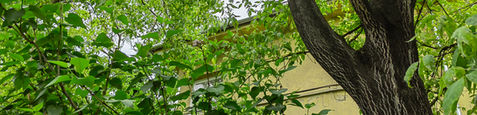 IMG_20220509_101611.jpg