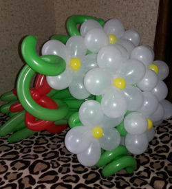цветы из воздушных шаров