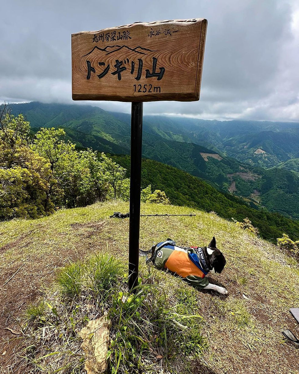 黒峰 トンギリ山