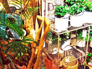 グリーンをアクセントに