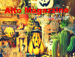2017 New Autumn