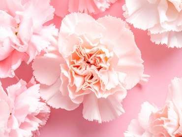 噂は本当⁉お当番に関して