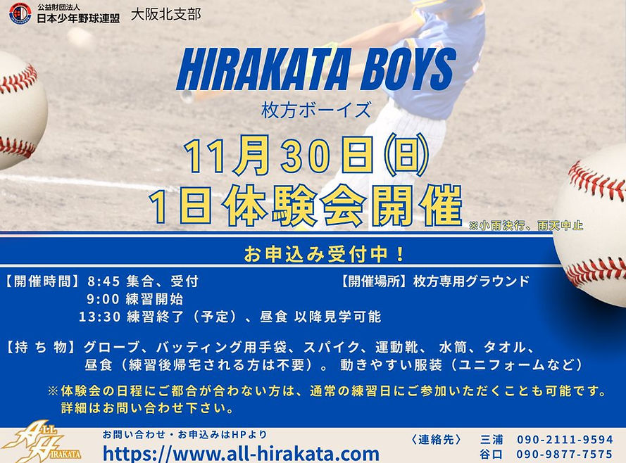 Baseball (プレゼンテーション(43)).jpg