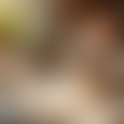 Caring for Your Mini Plush Lop: Essential Tips