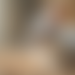 Discovering the Mini Plush Lop: Your Perfect Companion